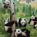 วอลเปเปอร์ติดผนัง ลาย Panda family