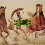 Դѧ  Galloping