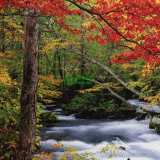 Դѧ  Autumn Stream Oirase Valley