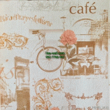 Դѧ  Cafe 
