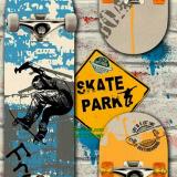 SKATE BOARD