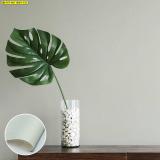 ҾԴѧ Modern Design 觺ҹ ٷѹ