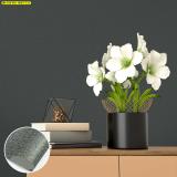 Ҿ Modern Design 觼ѧ㹺ҹ ٷѹ