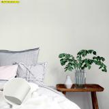 ͧ͹Թ   Modern Design