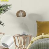 觺ҹ ẺԹ  Ҿ 觼ѧ Modern Design