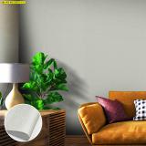 ͧѺᢡ    Modern Design