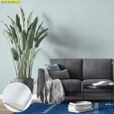 ͧѺᢡ º  ҾԴѧ  Modern Design