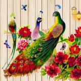 觼ѧ  wallpaper¹٧ wallpaperԴѧ ǧ