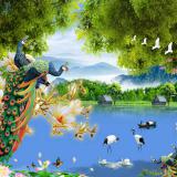 觺ҹẺҵ ¹٧ ǧ ¡Ѿ