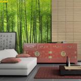 ����������»���������� ����������ºʧ�Ẻ����������ͧ�����͡�ѡɳ���й�Ҿѡ��͹