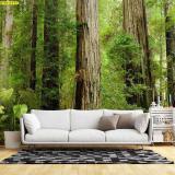 ������������颹Ҵ�˭� ������������֡���Դ�����ҵ������ͧ�����蹴�ʺ����м�͹����