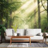 ���������ʧᴴ㹻�� �����Ե��ʧ����鼹ѧ ���ҧ����ҡ��ͺ�����й���������ͧ������