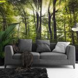 ���������ʧᴴ�ʹ��� ���ҧ�Ե��ʧ�Һ���ѧ �����ͧ�����ҧ���������м�͹����