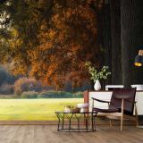 ��������������������� ��������ҡ��ͺ�����鼹ѧ��ͧ �ٹ����֡������͡�ѡɳ�