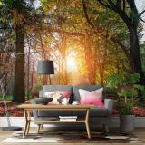 ������������������¹�� ��������ʴ����鼹ѧ ���ҧ����ҡ���ժ��Ե���ͺ���