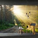 ���������ʧᴴ�ʹ��� �����Ե���鼹ѧ��ͧ ���ҧ����ҡ��ͺ�����м�͹����