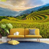 ��������Ң�鹺ѹ�����������ͧ �����Ǵ�����鼹ѧ��ͧ ��ʴ������ըѧ�����µ�