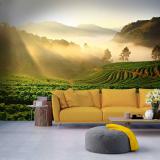 �����������������͡������ ��������ҡ��ͺ�����鼹ѧ��ͧ �ٹ��������м�͹����