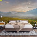 �����������������з�觹� ��������ʧ���鼹ѧ��ͧ�͹ ���ҧ����ҡ�ȼ�͹����