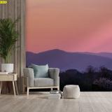 ��������������������� ⷹ������ǧ �����������������鼹ѧ��ͧ ��ͺ�����м�͹����