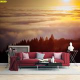 �������������͡������ �����ʧ����Ե���鼹ѧ��ͧ �����ҧ����պ���ҡ��