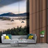 ����������觾�����Ҿ���ʹ���ҹ��͡ �Ҿ��觾����Դ��ѧ�ٻ����ͧ����ͺ����ʧ�������Ե�