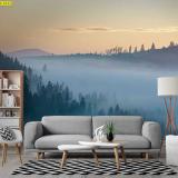 ��������Դ��ѧ�Ҿ��觾������·�ǻ�����ҹ��͡ ��Ż��Ҿ����ͧ�ٻ�Դ��ѧ�������ʺ��