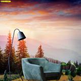 ����������觾�����Ҿ���ʹ�Ѻ�ʧ�ͧ �Ҿ�Դ��ѧ�ٻ����ͧ������ͤ���ͺ�����о�ѧ�ҹ�ǡʴ��