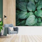 ����������觾��������������´��� ���ͤ������������ٻ����ͧ