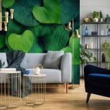 �Ҿ����ͧ����������觾�������������ʴ �ٻ�Դ��ѧ���������ѧ�ҹ�ǡʴ��