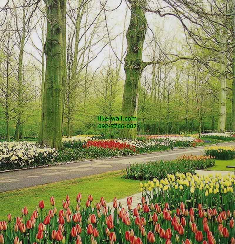 วอลเปเปอร์ติดผนัง ลาย Tulips garden in March