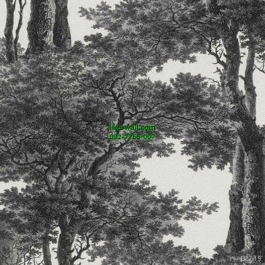รูปภาพที่2 ของสินค้า : วอลเปเปอร์ลายต้นไม้ สีดำขาว
